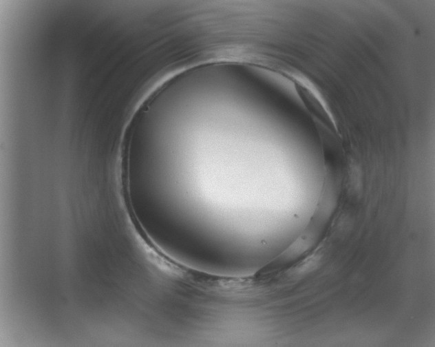 X0000069791147200605191032