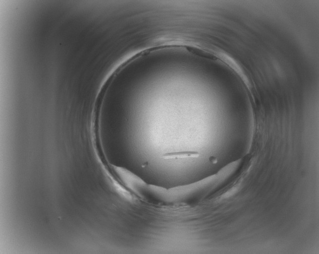 X0000069791149200605191032