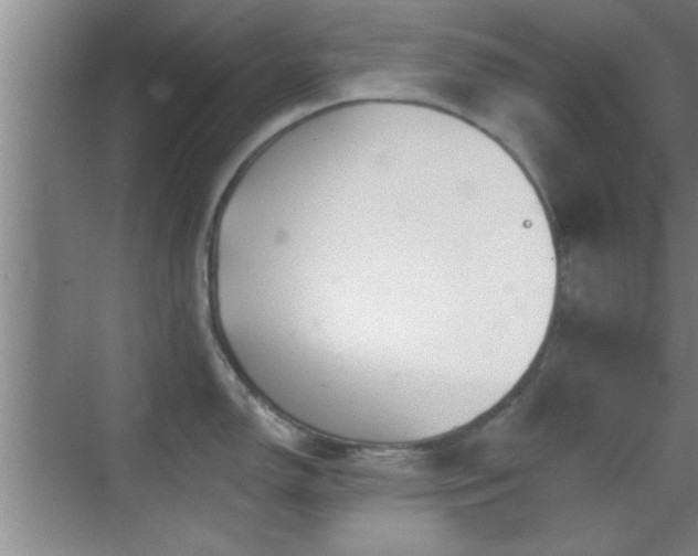 X0000069791150200605191032