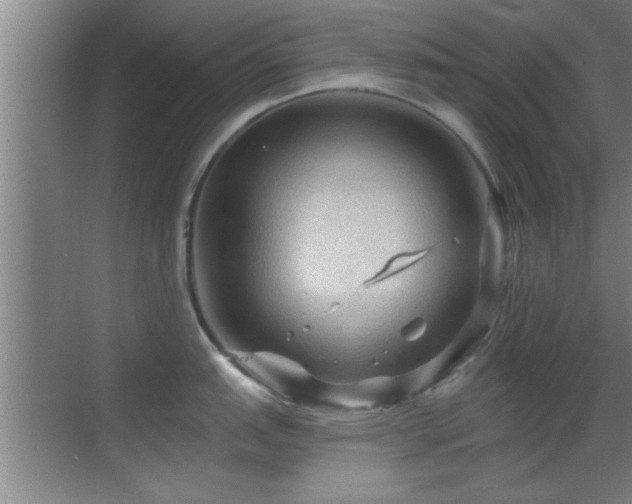 X0000069791151200605191032