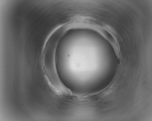 X0000069791152200605191032