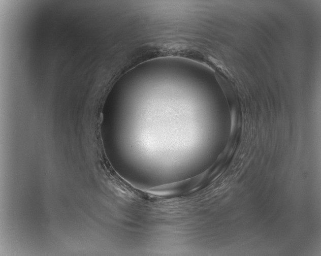 X0000069791153200605191031