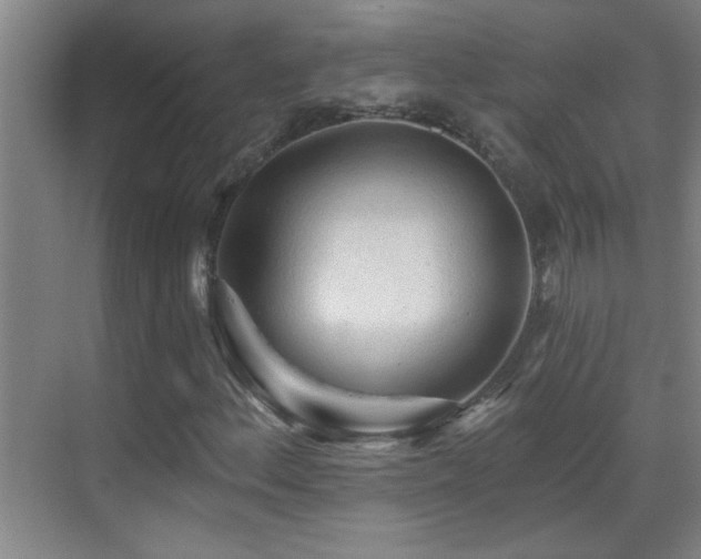 X0000069791156200605191031