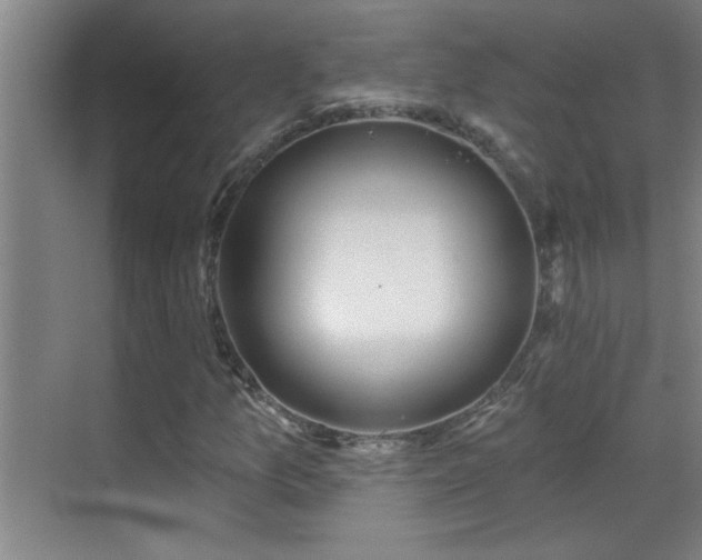 X0000069791157200605191031