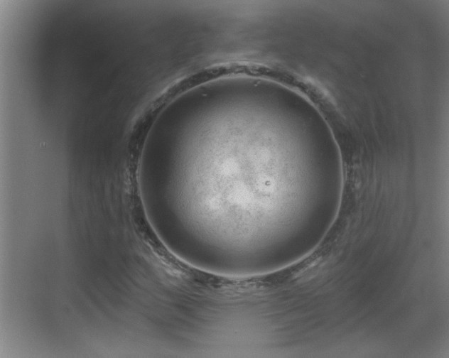 X0000069791159200605191031