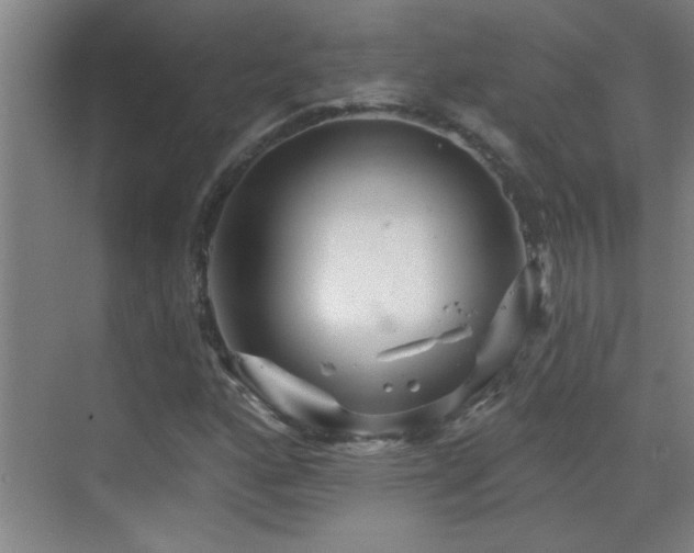 X0000069791160200605191031