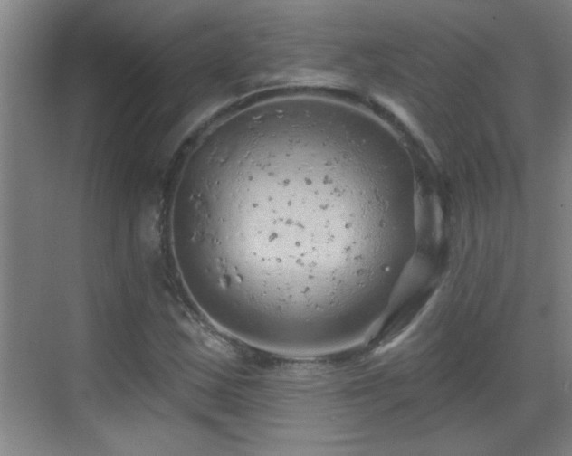 X0000069791163200605191031