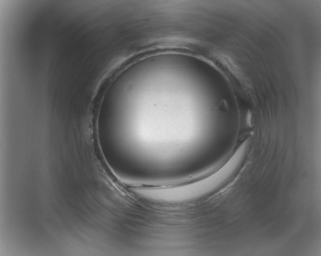 X0000069791164200605191031