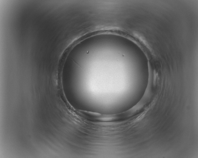 X0000069791165200605191031