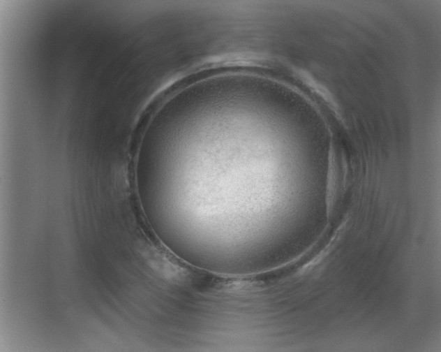 X0000069791166200605191031