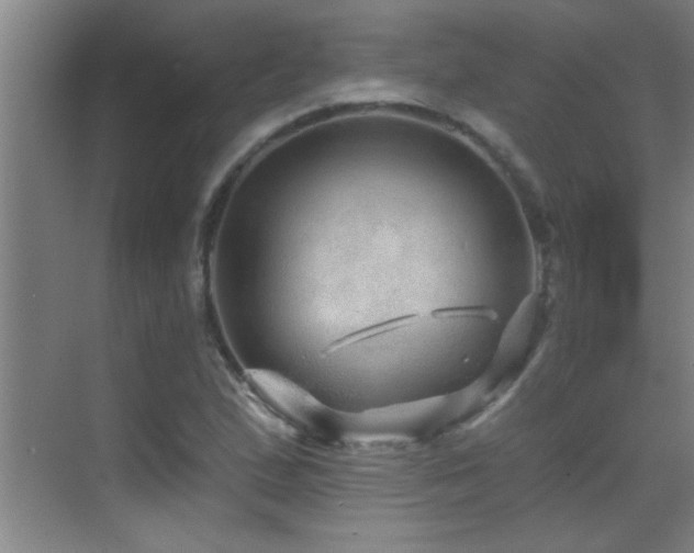 X0000069791167200605191031