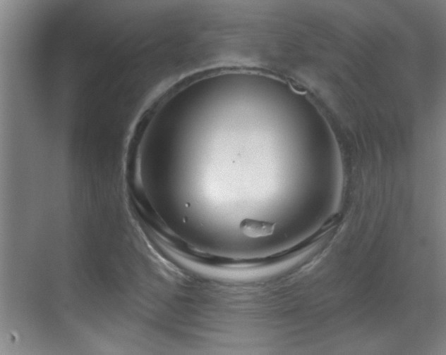 X0000069791168200605191031