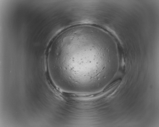 X0000069791171200605191031