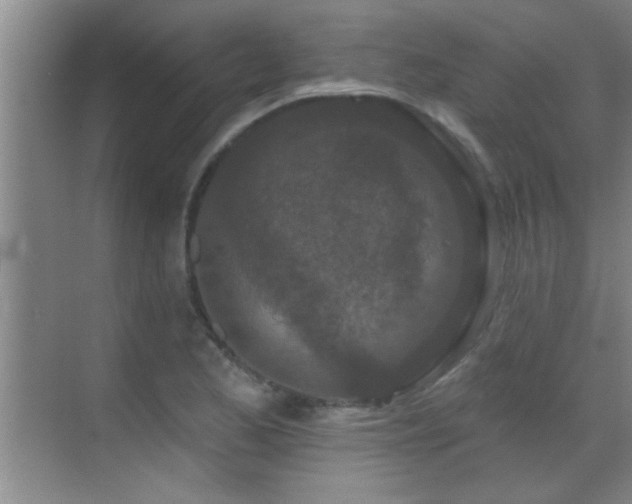 X0000069791173200605191031