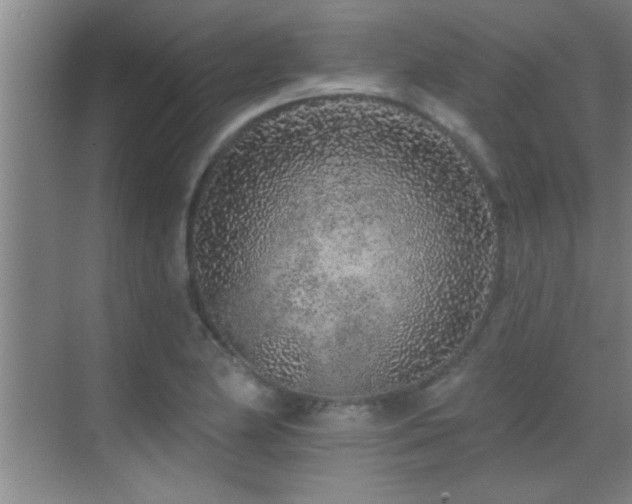 X0000069791174200605191031