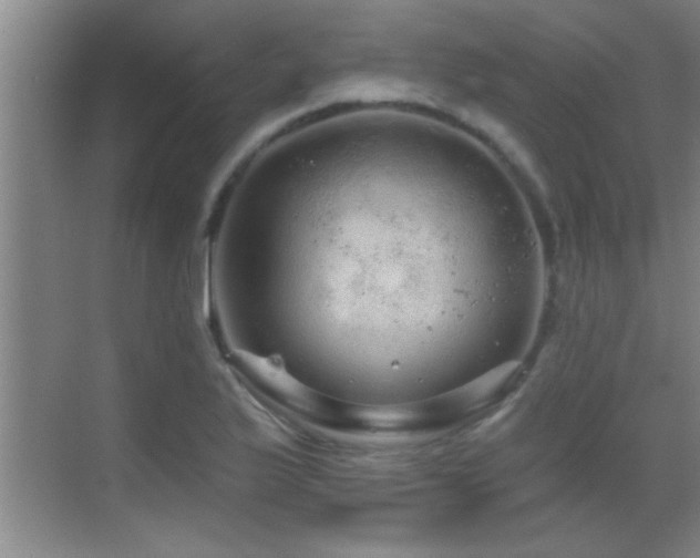 X0000069791175200605191030