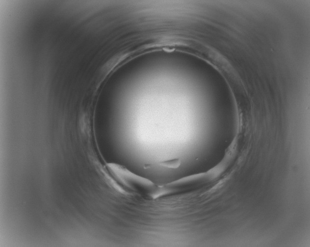 X0000069791177200605191030