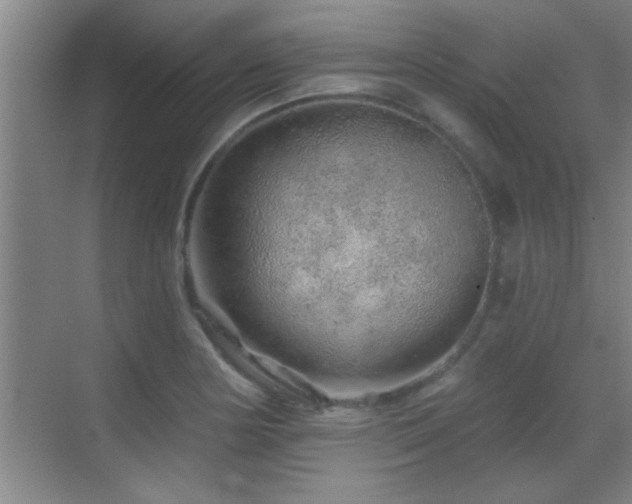 X0000069791178200605191030