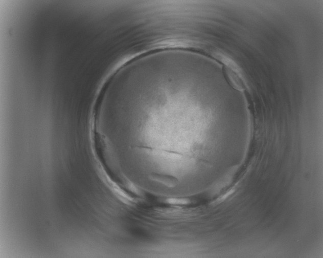 X0000069791179200605191030