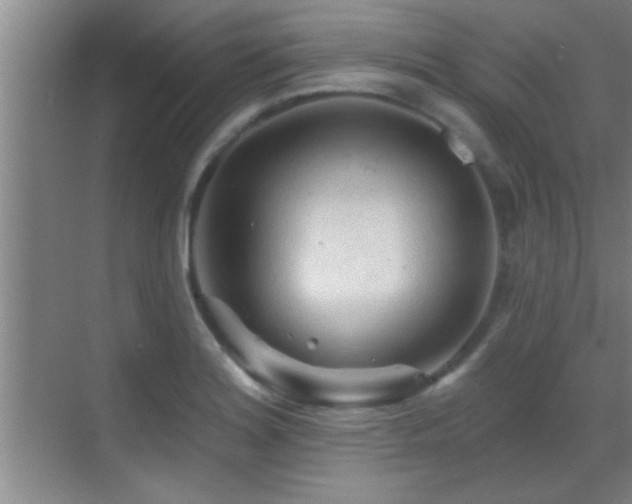 X0000069791180200605191030