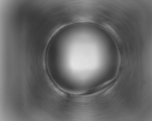 X0000069791182200605191030