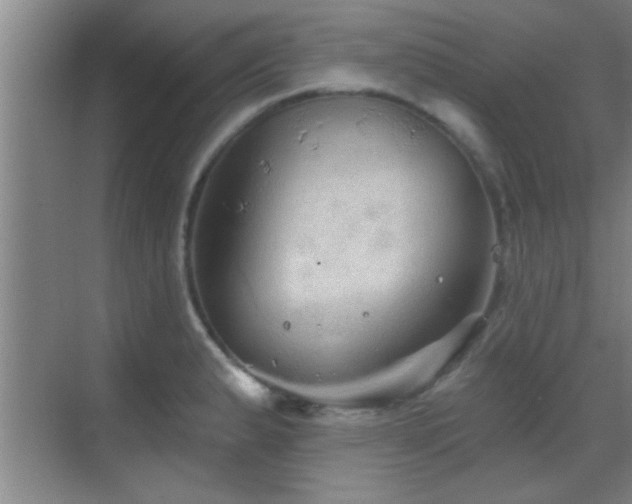 X0000069791183200605191030