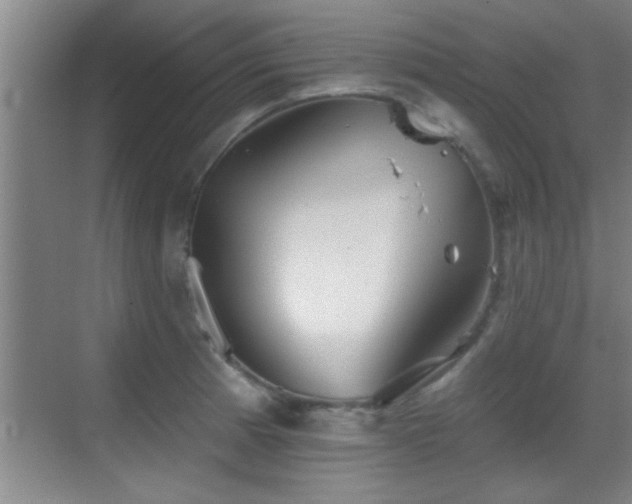 X0000069791185200605191030