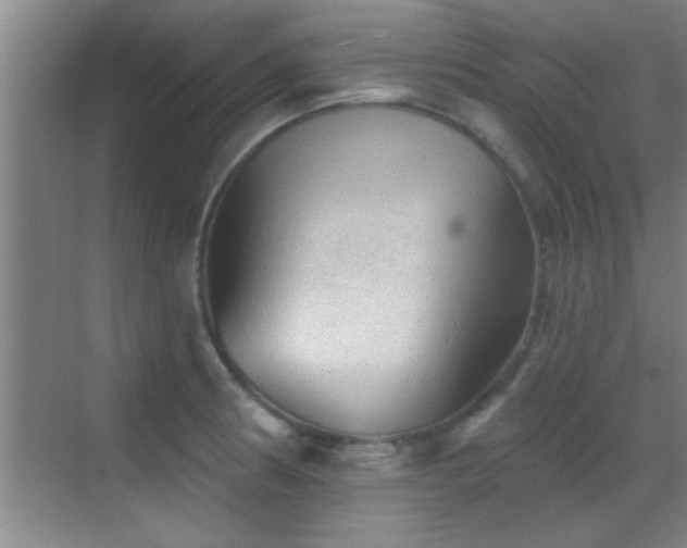 X0000069791186200605191030