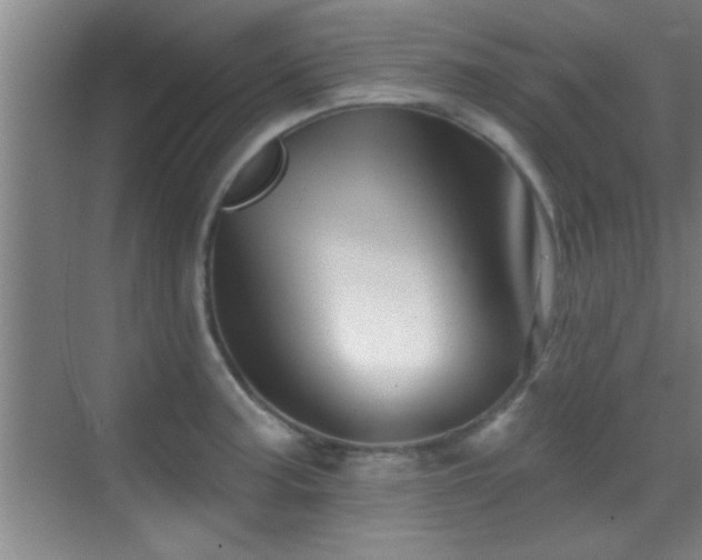 X0000069791187200605191030