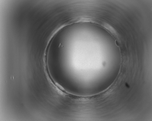 X0000069791190200605191030