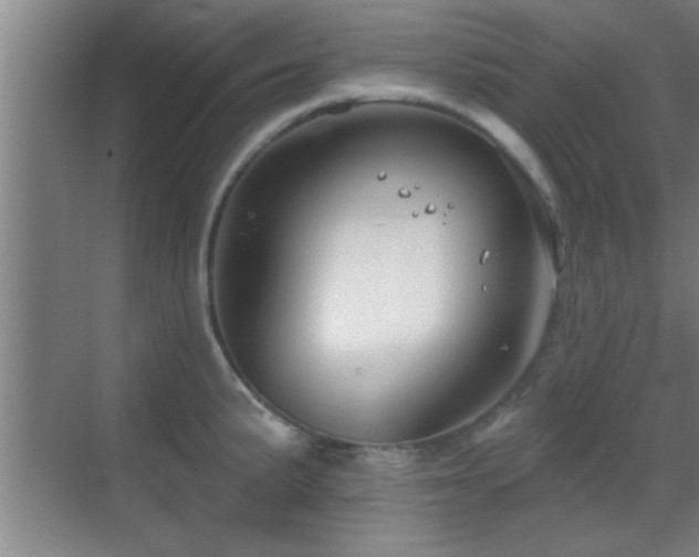 X0000069791191200605191030