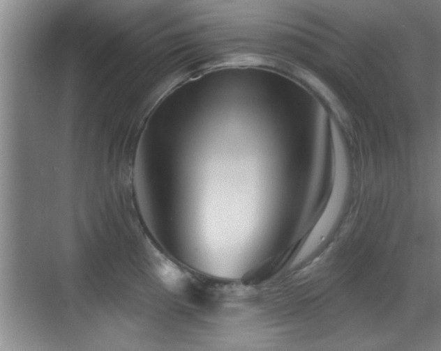 X0000069791193200605191030