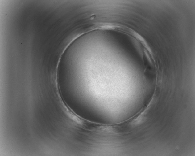 X0000069791194200605191030