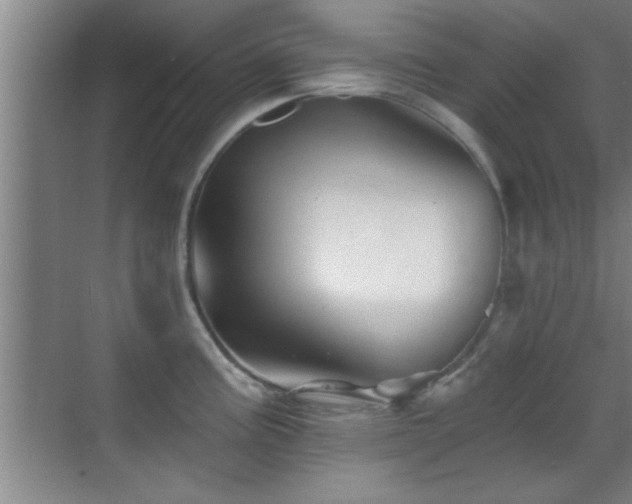 X0000069791195200605191030