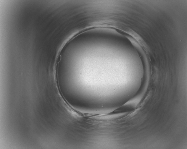 X0000069791196200605191030