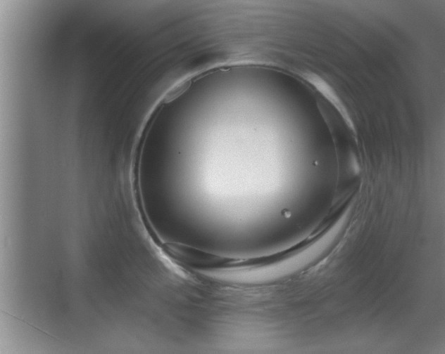 X0000069791197200605191030