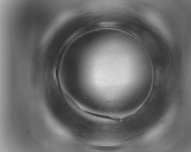 X0000069791198200605191030