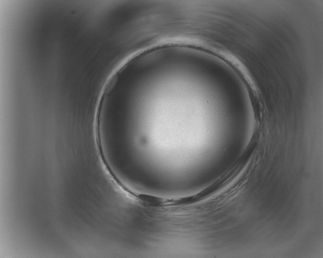 X0000069791199200605191030