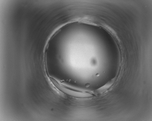 X0000069791200200605191030