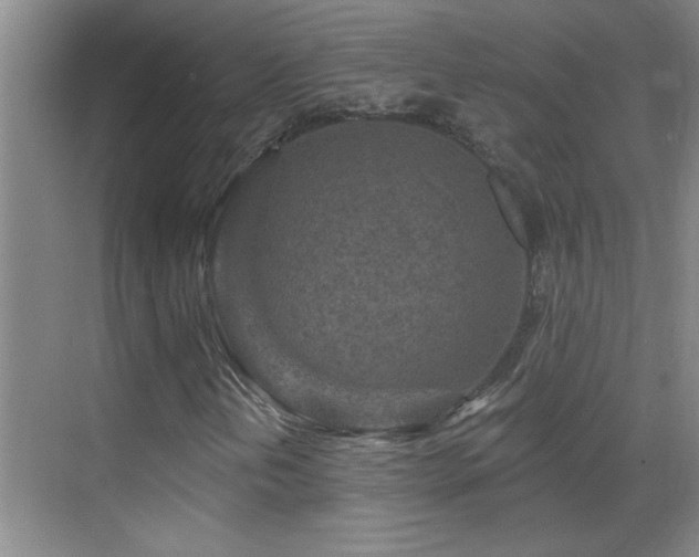 X0000069791202200605191029