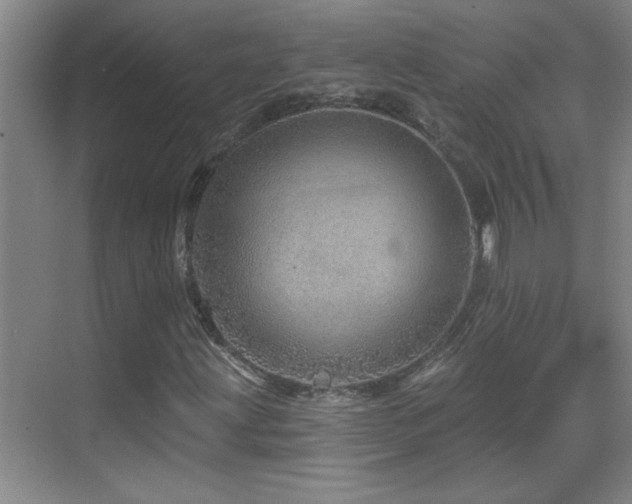 X0000069791203200605191029