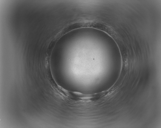 X0000069791204200605191029