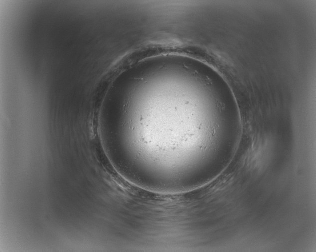 X0000069791205200605191029