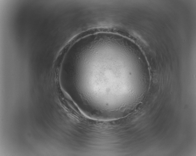 X0000069791208200605191029