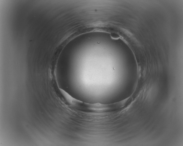 X0000069791209200605191029