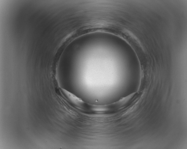 X0000069791210200605191029