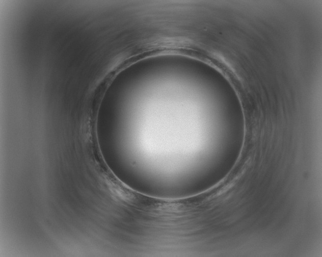 X0000069791211200605191029