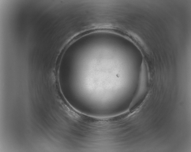 X0000069791212200605191029