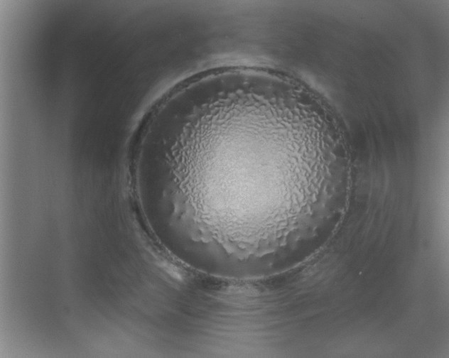 X0000069791215200605191029