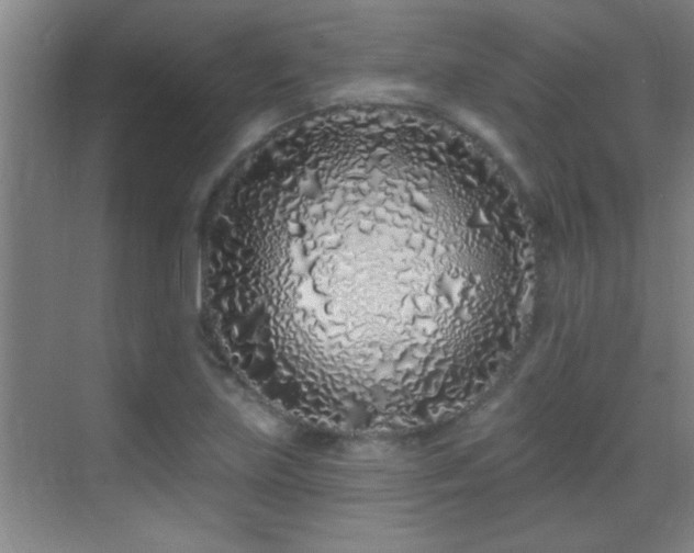 X0000069791219200605191030